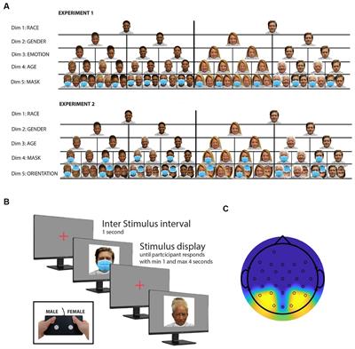 Face processing and early event-related potentials: replications and novel findings